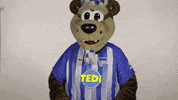 Pray Hertha Berlin GIF by Hertha BSC