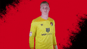 Football No GIF by AFC Bournemouth