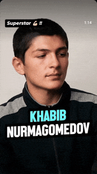 Khabib Nurmagomedov Ufc GIF