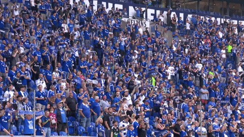 Veltins Arena Football GIF by FC Schalke 04