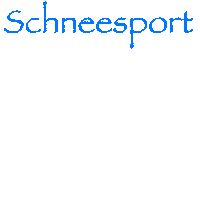 Winter Ski Sticker by Schneesport Bivio