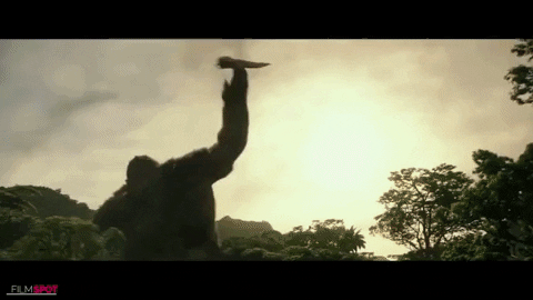mrsvikingbunny giphygifmaker monkeyjay GIF