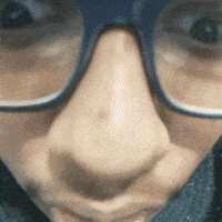 Cat Dog GIF
