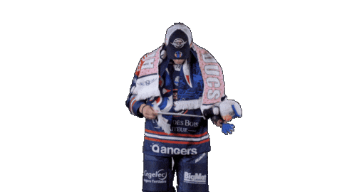 Ducs Dangers Hockey Sticker by Les Ducs d'Angers