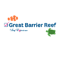 Reef_Experience turtle dive diving gbr Sticker