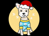 Morkie GIF