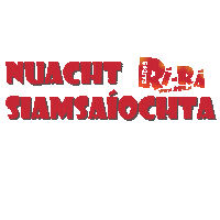Nuacht Sticker by RaidioRiRa