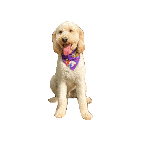 Transformers Tongue Out Sticker by Geekster Pets