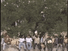 tv azteca mexico GIF