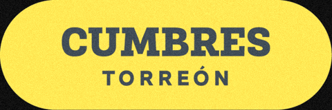 Torneo De La Amistad GIF by TDLA