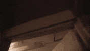 the road to nowhere GIF by Radical Face