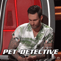 GIF by The Voice