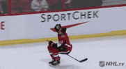 celebrate ice hockey GIF by NHL