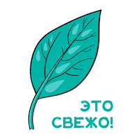 New People Sticker by Новые люди