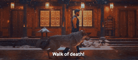 Shed War GIF by Hrithik Roshan