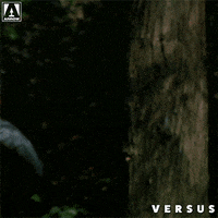 Tak Sakaguchi Fight GIF by Arrow Video