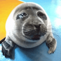 Baby Crying GIF