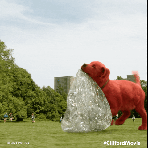 Dog GIF by Clifford Movie