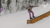 allroundchampiontv yes celebrate snow success GIF