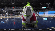 Butler Basketball Dog GIF by Butler University