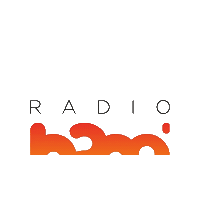 Radionanetorino Sticker by Radio Nanè