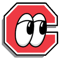 Sports Logos Sticker by Chattanooga Lookouts