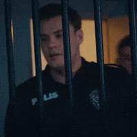 Police GIF