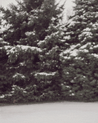 TGBrews beer can craft beer sour GIF