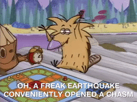 nickrewind nicksplat angry beavers GIF