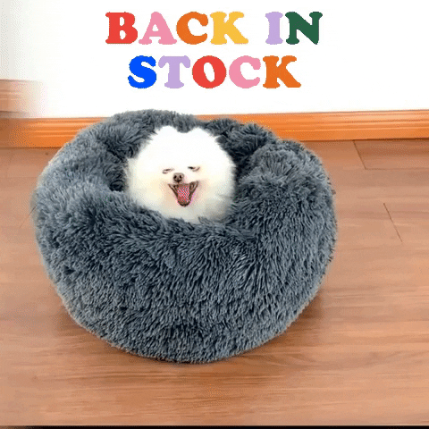 theunicgift giphygifmaker giphyattribution GIF