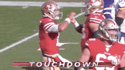 National Football League GIF by NFL