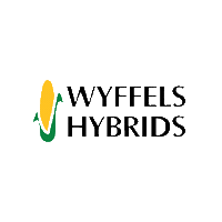 Corn Sticker by Wyffels Hybrids