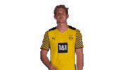 Well Done Good Job Sticker by Bundesliga