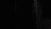 Tobe Hooper Horror GIF by Coolidge Corner Theatre