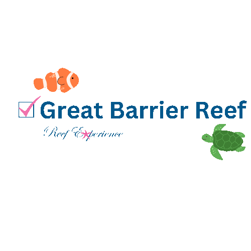 Reef_Experience giphyupload turtle dive diving Sticker