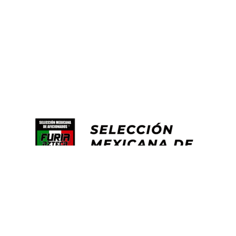 Futbol Mexicano Seleccion Mexicana Sticker by TIKIPR