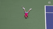 GIF by Tennis Channel