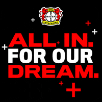 Bayer 04 Football GIF by Bayer 04 Leverkusen