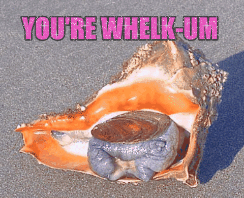 you're whelkum GIF by chuber channel