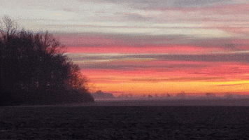 'Beautiful' Pink Sunrise Lights Up Northwestern Ohio