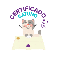 CuteCatPe cats gato gatos mascotas Sticker