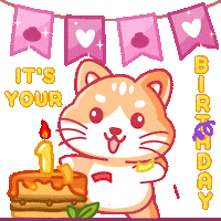 Happy Birthday Love Sticker by JPedicini