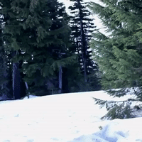 Mt Hood Running GIF by Four Rest Films