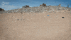 GIF by PBS Digital Studios