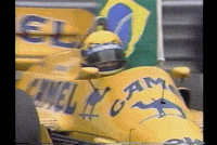 Excited Formula 1 GIF by Ayrton Senna