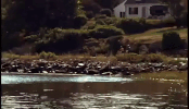 new hampshire GIF