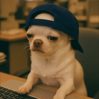 chiroroharu dog puppy tired bored GIF