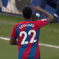 Premier League Football GIF by CPFC