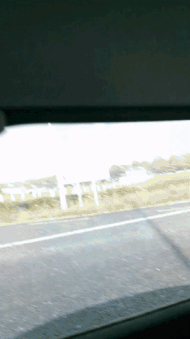 car rainbow GIF