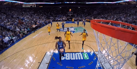 los angeles sparks basketball GIF by WNBA